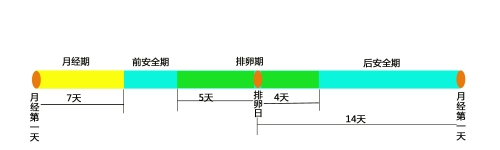 女性排卵期怎么計算最準(zhǔn)確