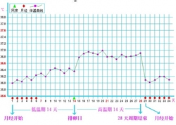 女性排卵期怎么計算最準(zhǔn)確