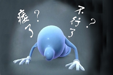 男性陽痿吃什么食物?枸杞可有效治療
