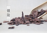大雪節(jié)氣中藥鎖陽(yáng)能補(bǔ)陽(yáng)益陰