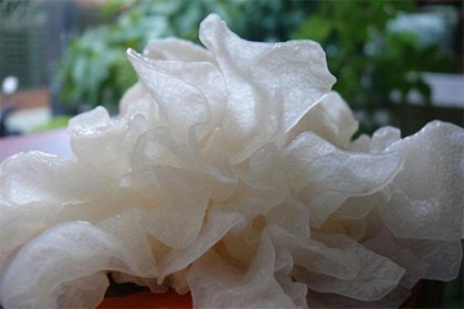 ?蚵仔湯抗痘、泡菜拌飯助睡眠 10款排毒抗發(fā)炎菜單