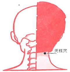 頭痛怎么辦?緩解頭痛的穴位按摩法