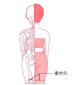 腿部點按法輕松做到完美瘦腿