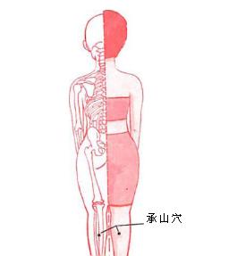 腿部點按法輕松做到完美瘦腿