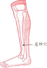 腿部點按法輕松做到完美瘦腿
