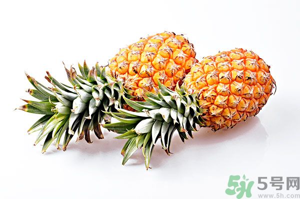 芒果和菠蘿能一起吃嗎？芒果和菠蘿一起吃好嗎？