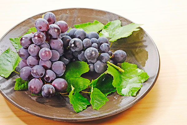 膽結(jié)石能吃葡萄嗎？膽結(jié)石患者吃葡萄好不好？