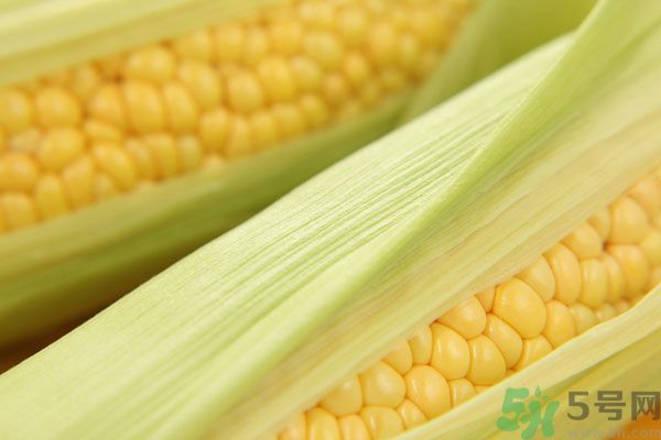哺乳期能吃玉米回奶嗎？產(chǎn)婦吃玉米會(huì)回奶嗎？
