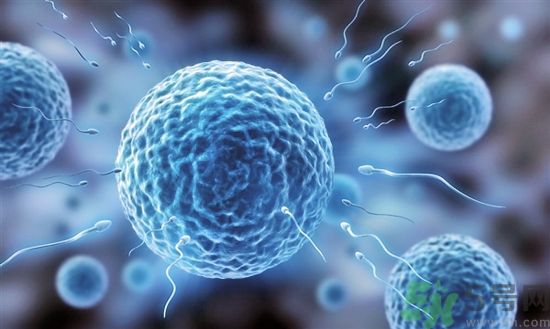真的有人造精子嗎?女人懷孕不在需要男性精子