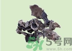 高血壓可以吃黑木耳嗎？木耳降血壓的做法有哪些？