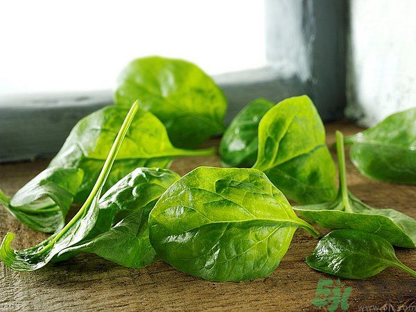 缺鐵有什么癥狀和危害？含鐵高的食物有哪些？