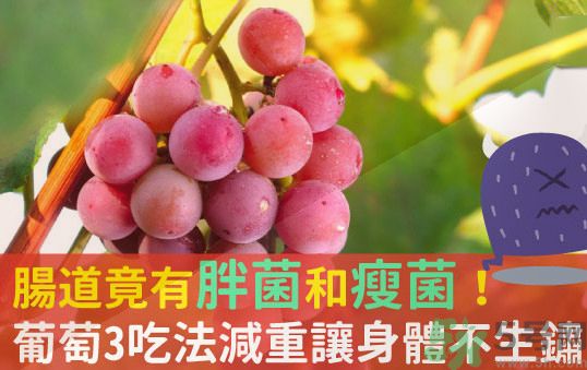吃葡萄可以不吐葡萄籽嗎？吃葡萄皮好不好？