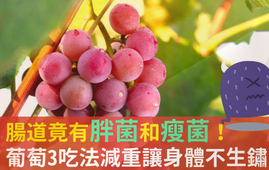 吃葡萄可以不吐葡萄籽嗎？吃葡萄皮好不好？