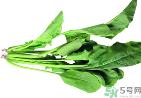 吃菠菜可以補血嗎?菠菜怎么吃能補血?.png 吃菠菜可以補血嗎?菠菜怎么吃能補血?.png