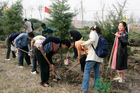 植樹節(jié)是幾月幾日？植樹節(jié)可以做些什么活動？