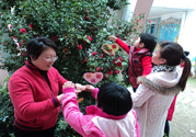 植樹節(jié)是幾月幾日？植樹節(jié)可以做些什么活動(dòng)？