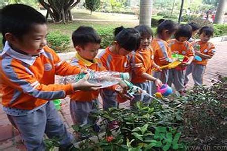 如何提高植樹的成活率？植樹節(jié)種樹要注意哪些細節(jié)？