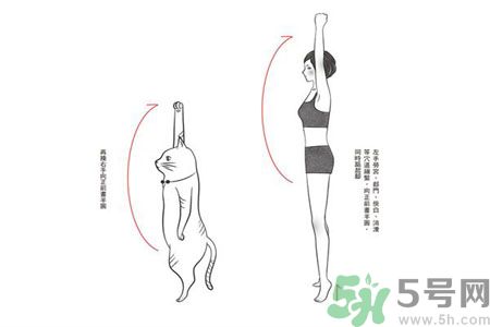 電腦族肩膀痛疼怎么辦？肩膀痛疼怎么解決？