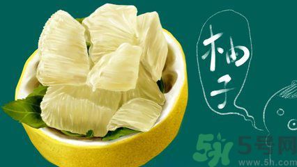 多吃柚子能減肥嗎？怎樣吃柚子才健康？