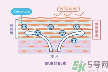 皮膚炎癢是怎么回事？皮膚炎發(fā)作怎么治療？