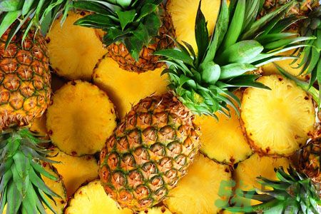 菠蘿和鳳梨有什么區(qū)別？菠蘿和鳳梨誰更好吃？