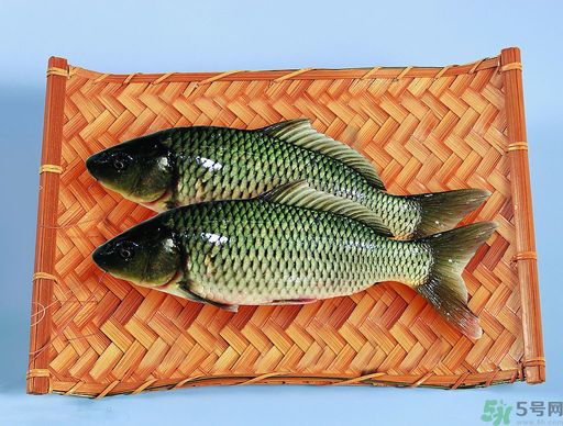 孕婦吃什么魚對(duì)胎兒好？孕婦吃什么魚最好？