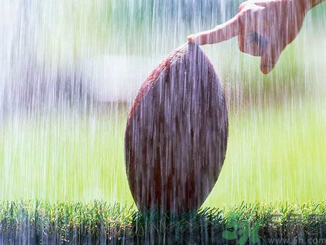 濕氣重的癥狀？怎么去除體內(nèi)的濕氣？