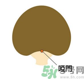 臉總是腫腫的怎么辦？臉有點浮腫怎么消腫？