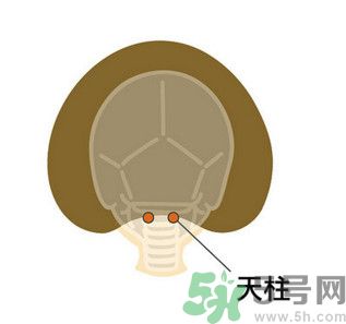 臉總是腫腫的怎么辦？臉有點浮腫怎么消腫？
