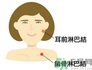 臉總是腫腫的怎么辦？臉有點浮腫怎么消腫？
