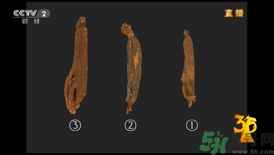 紅參怎么挑選？紅參摻糖怎么辯解？