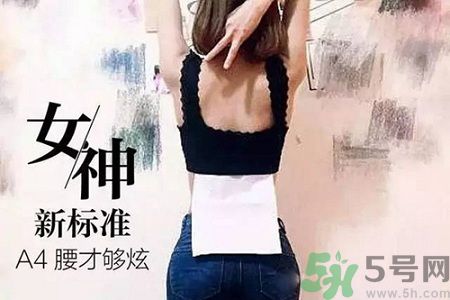 B5腰圍比A4腰圍更好？B5腰是什么意思？