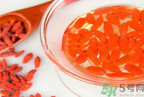 枸杞泡水有什么害處？枸杞泡水喝有什么好處？