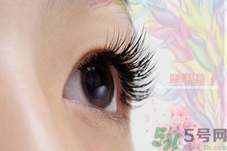 種睫毛的危害有哪些？種睫毛能保持多久？