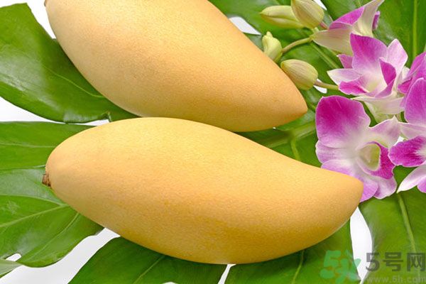 吃芒果嘴唇過敏怎么辦？為什么吃了芒果后嘴巴癢？