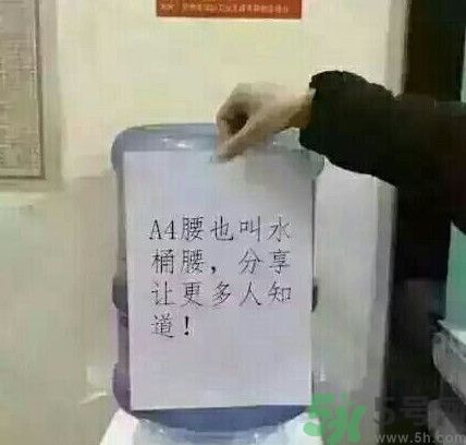 a4腰也叫水桶腰是什么意思？a4腰也叫水桶腰圖片？ 