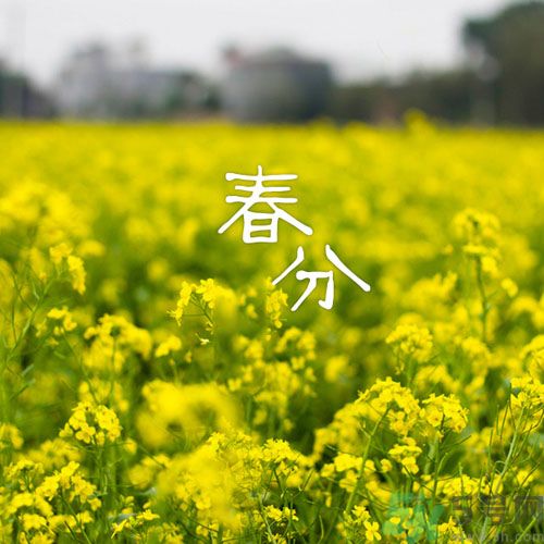 春分時(shí)養(yǎng)生要注意什么？春分要預(yù)防哪些疾??？