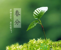 春分時(shí)養(yǎng)生要注意什么？春分要預(yù)防哪些疾??？