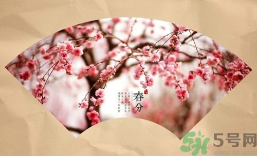 春分時(shí)養(yǎng)生要注意什么？春分要預(yù)防哪些疾??？