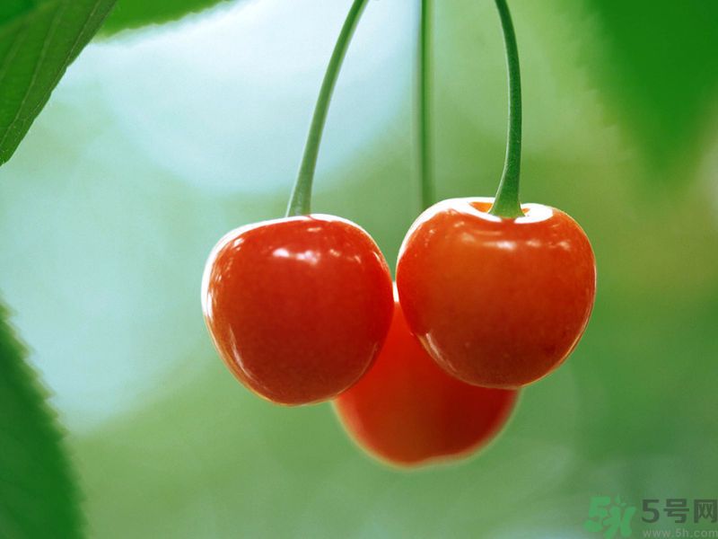 春分時(shí)節(jié)養(yǎng)生吃什么水果好？那些水果可以春天吃？
