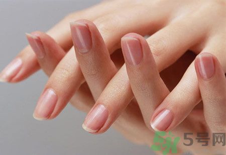 從月牙看健康 如何從月牙看出你的體質(zhì)？