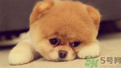 睡覺能戴手表嗎？睡覺不能帶的東西有哪些？