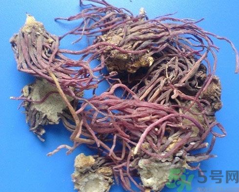紫菀的功效和作用是什么？紫菀的用法用量是多少？
