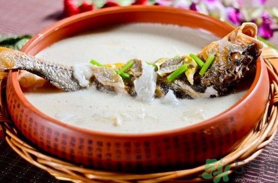 煲魚湯怎么去腥？家常魚湯做法有哪些？