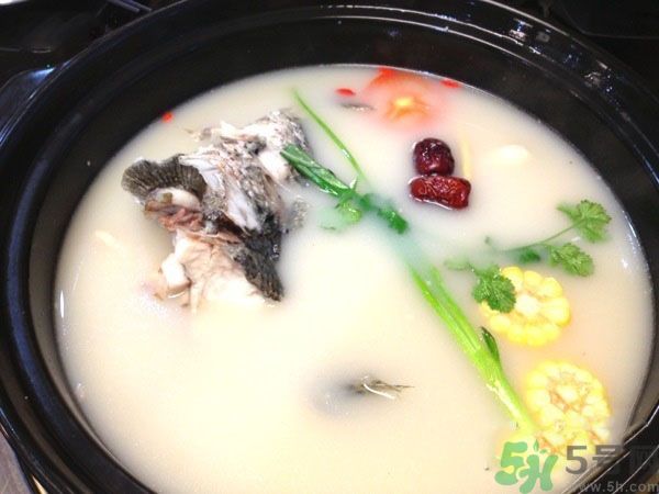 煲魚湯怎么去腥？家常魚湯做法有哪些？