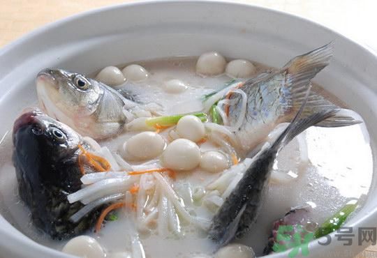 煲魚湯怎么去腥？家常魚湯做法有哪些？