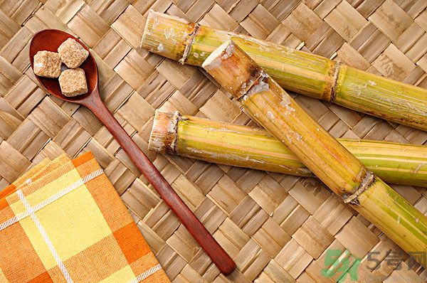 清明節(jié)能吃甘蔗嗎？清明節(jié)吃甘蔗會(huì)中毒嗎？
