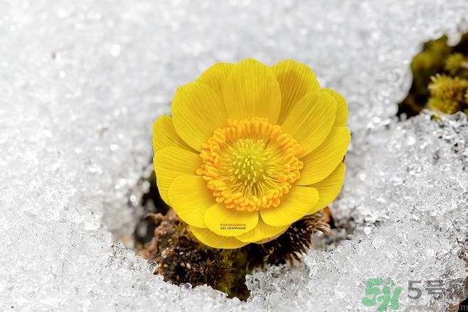 清明節(jié)有哪些習俗？清明節(jié)習俗的來源？