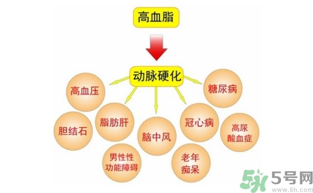 吃什么可以降血脂？高血脂吃什么好？