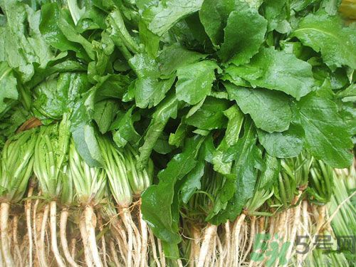 薺菜是發(fā)物嗎？薺菜是不是發(fā)物？